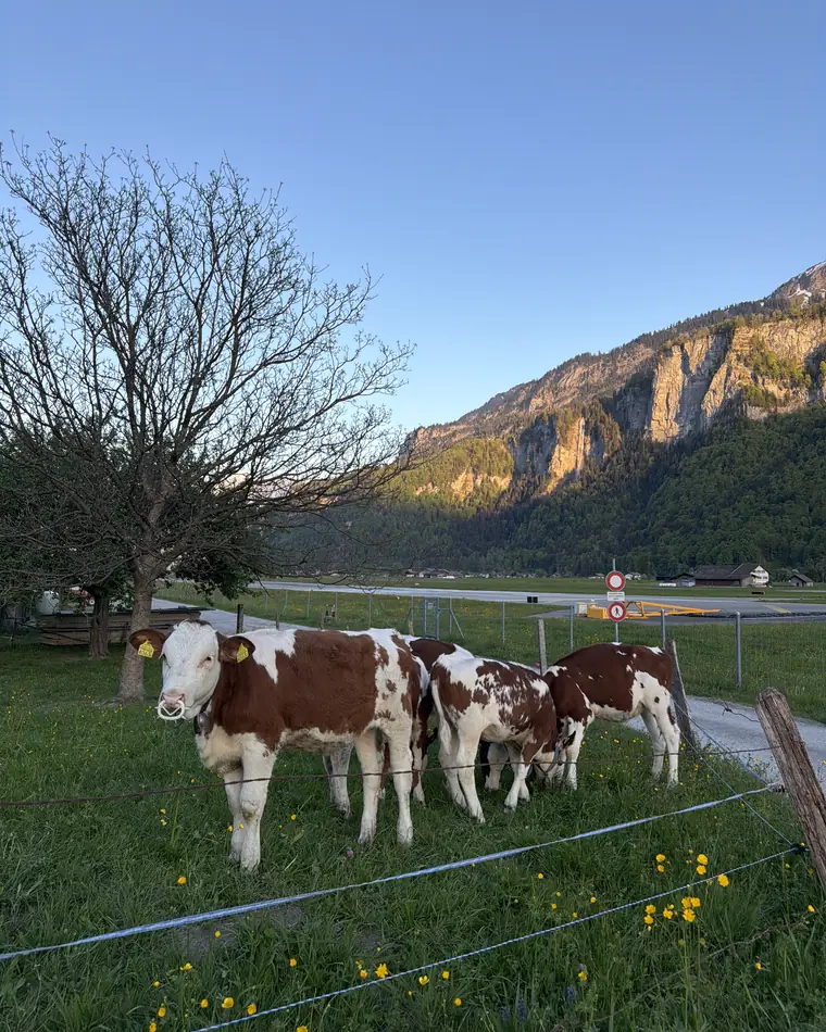 Swiss Alps, Switzerland